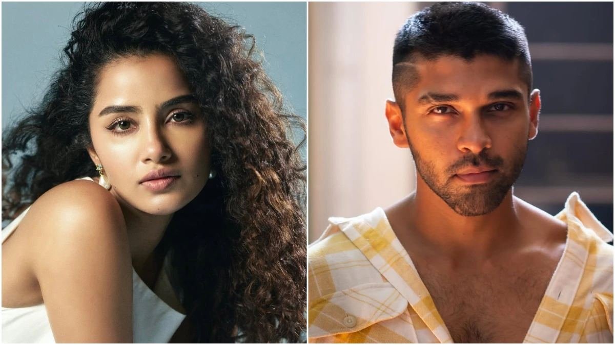 Anupama Parameswaran Addresses Breakup Rumours and Explains Viral Instagram Posts