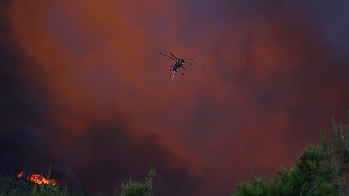 EU Shifts Wildfire Strategy From Suppression to Prevention After Record Destruction