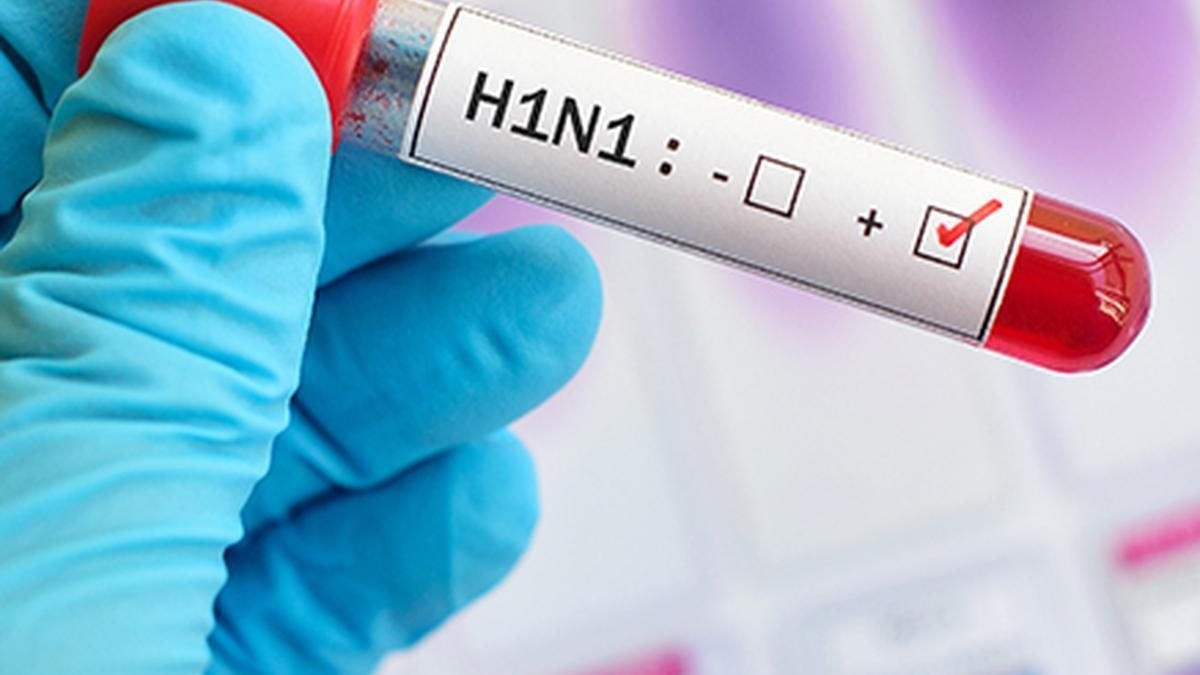 H1N1 and Influenza Cases Rise Across Several Indian States